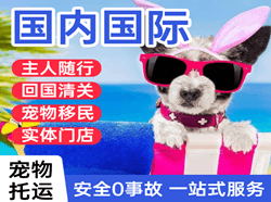 汉中城固机场快运国际宠物托运 【国